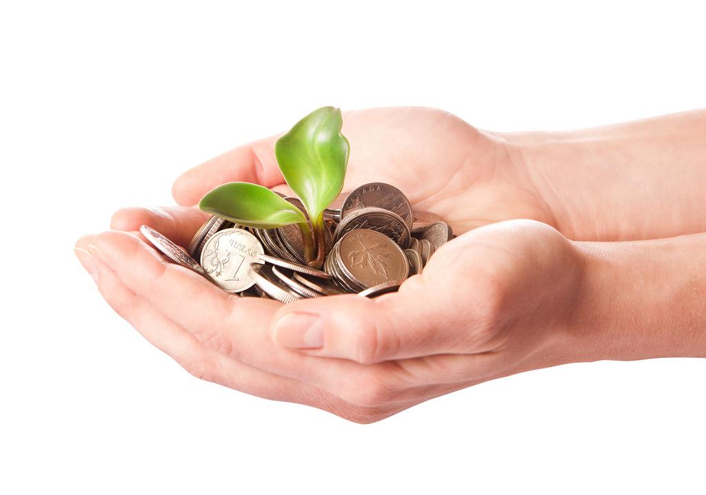 Investment Project