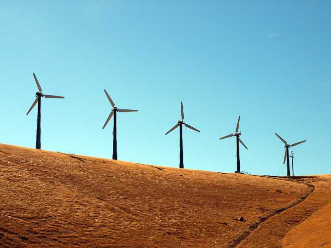 Renewable Resources